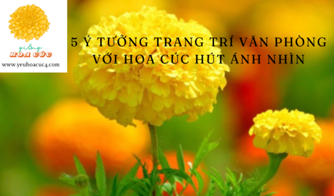 5 Ý tưởng trang trí văn phòng với hoa cúc hút ánh nhìn