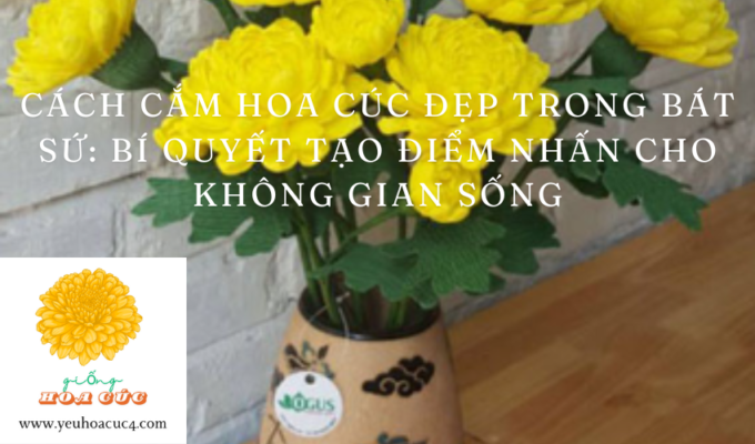 Cách cắm hoa cúc đẹp trong bát sứ: Bí quyết tạo điểm nhấn cho không gian sống