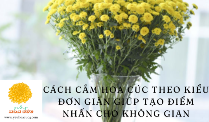 Cách cắm hoa cúc theo kiểu đơn giản giúp tạo điểm nhấn cho không gian