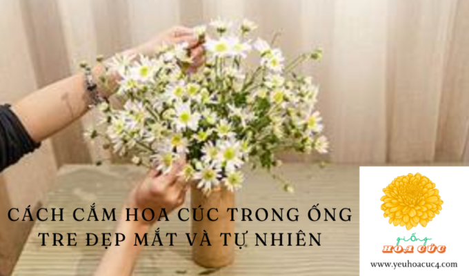 Cách cắm hoa cúc trong ống tre đẹp mắt và tự nhiên