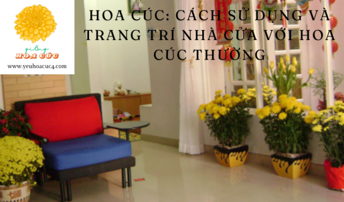 Hoa cúc: Cách sử dụng và trang trí nhà cửa với hoa cúc thường