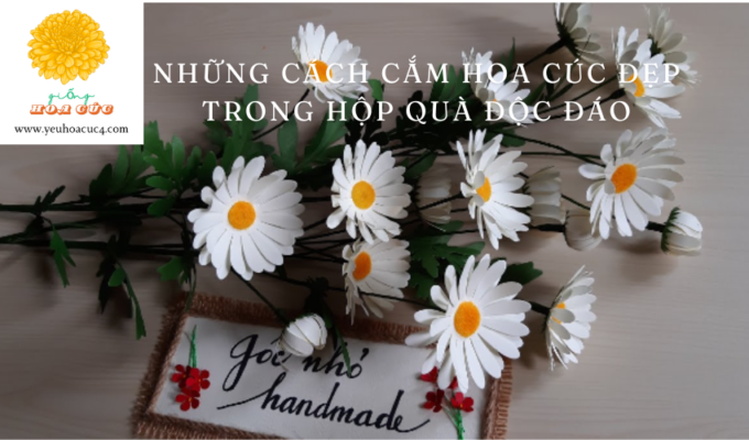 Những cách cắm hoa cúc đẹp trong hộp quà độc đáo