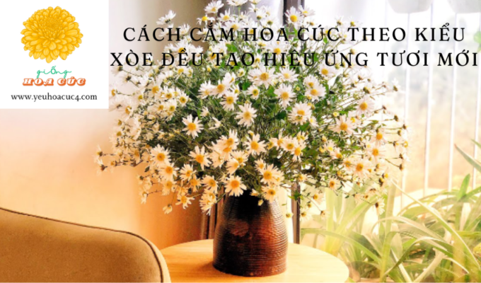 Cách cắm hoa cúc theo kiểu xòe đều tạo hiệu ứng tươi mới