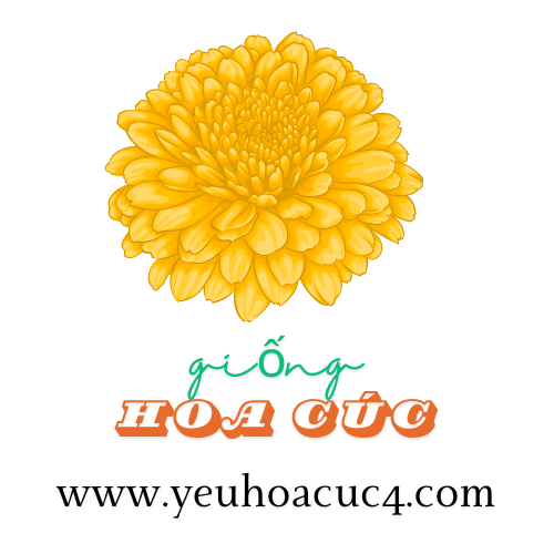 yeuhoacuc4.com